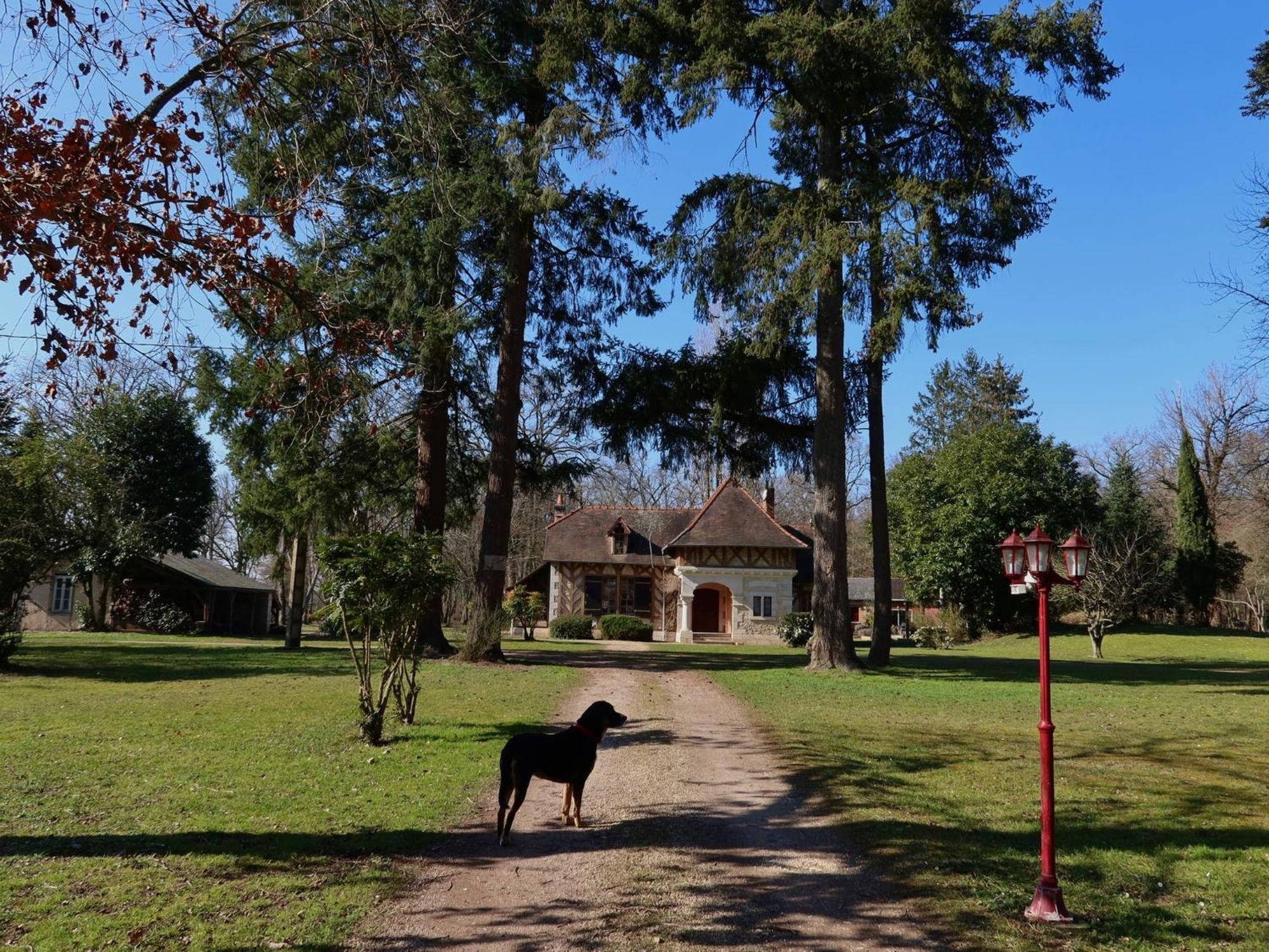 La Faisanderie Saint-Florent-sur-Cher Exteriör bild