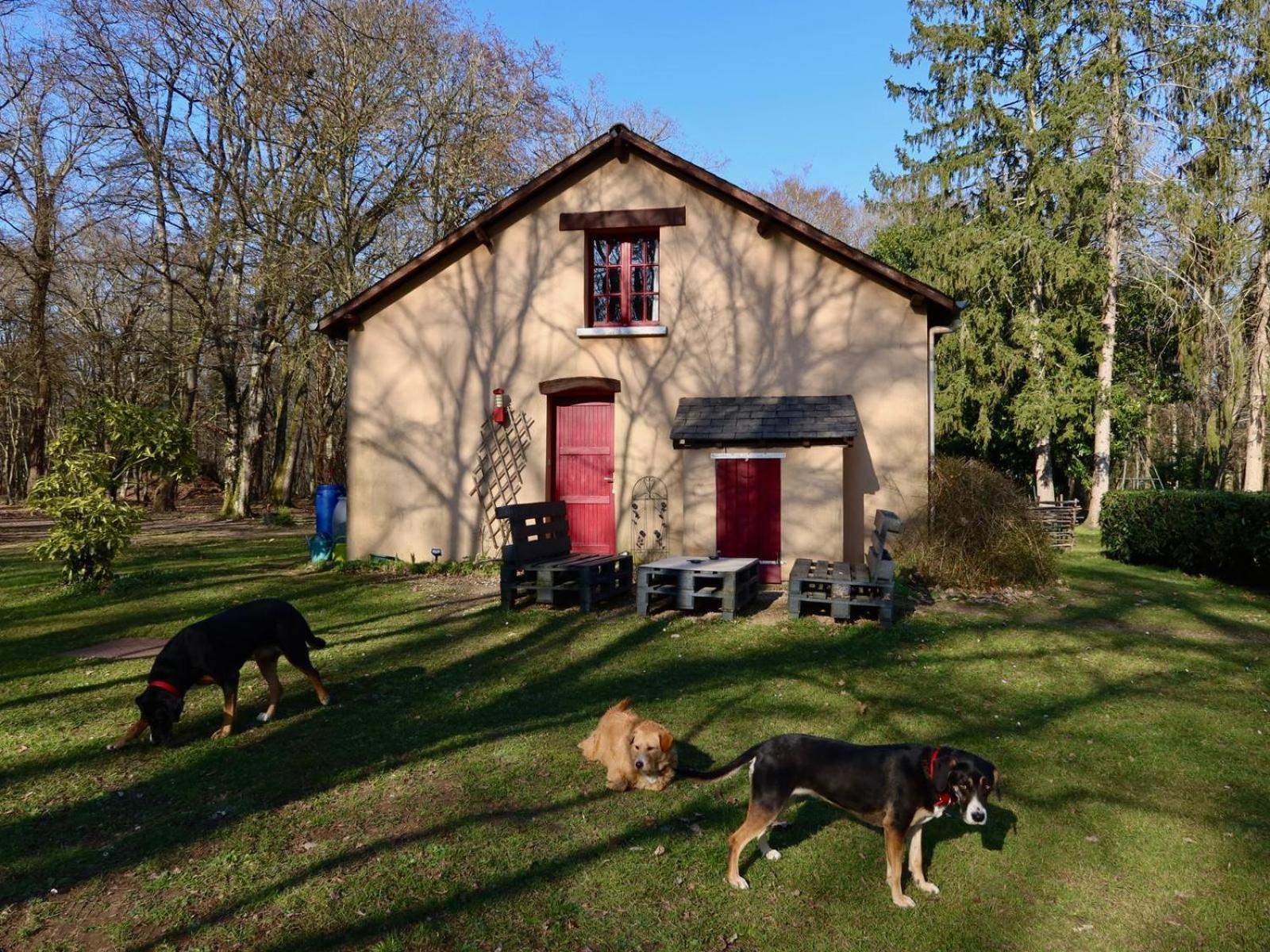 La Faisanderie Saint-Florent-sur-Cher Exteriör bild