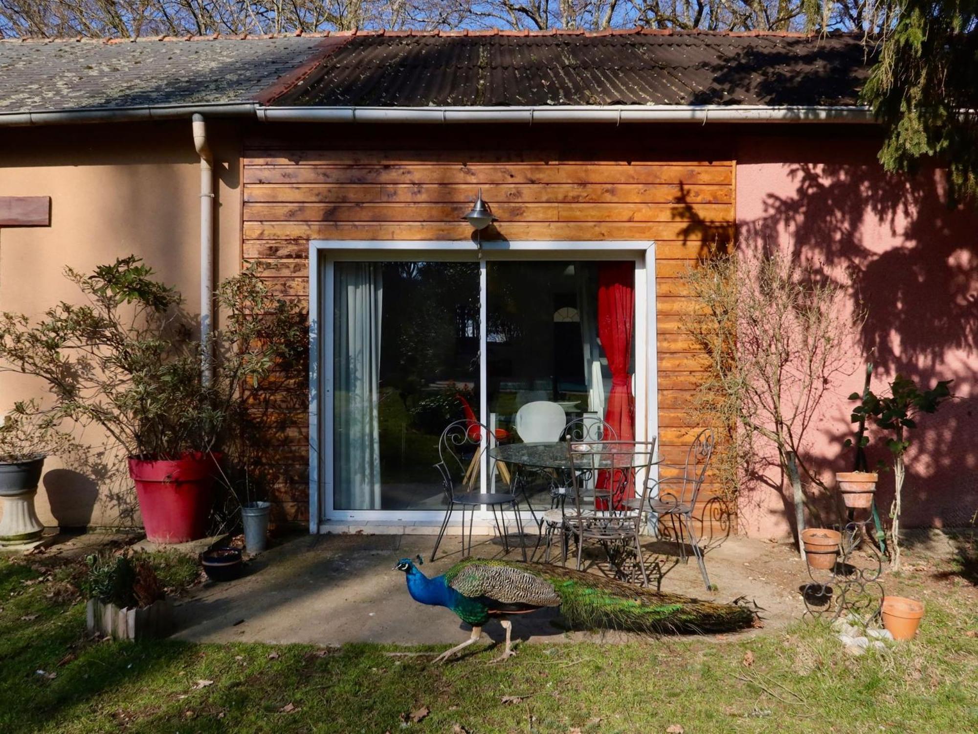 La Faisanderie Saint-Florent-sur-Cher Exteriör bild